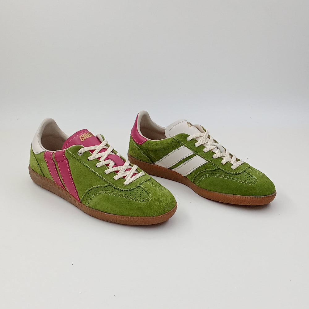 Proto - Blush Tea - 38