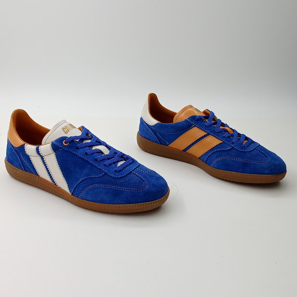 Proto - Blue Mustard - 38