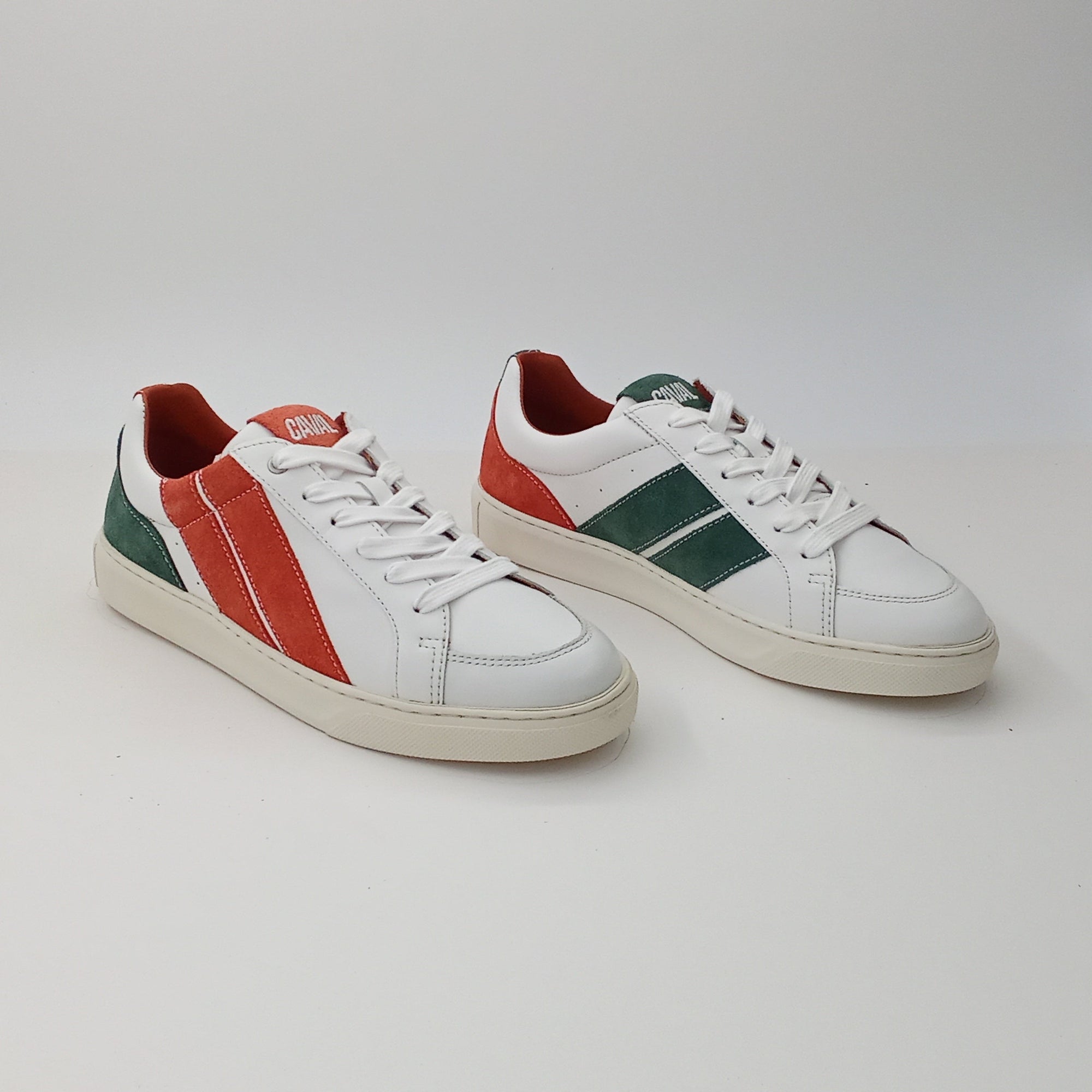 Proto - Terra Field - 38