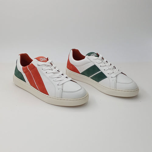 Proto - Terra Field - 38