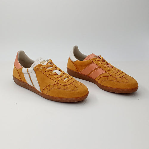 Proto - Spice Delight - 38