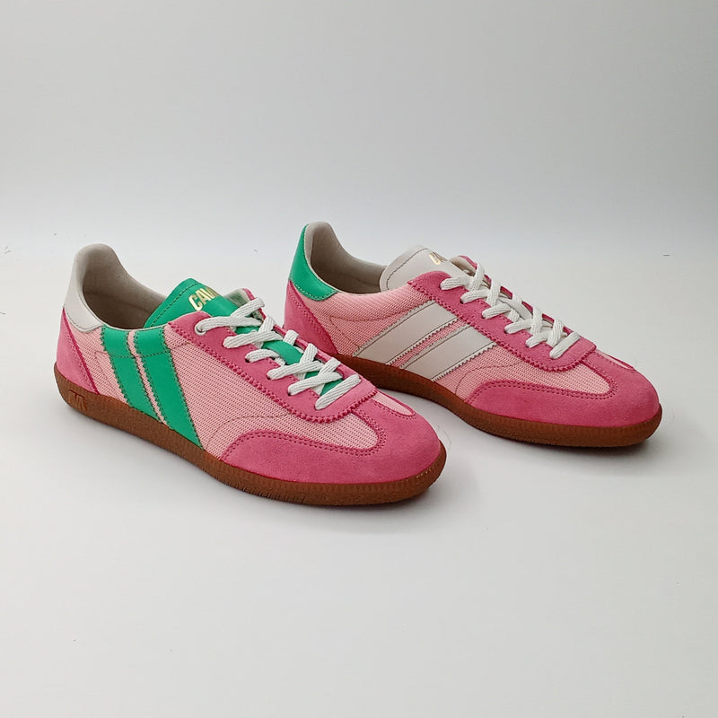Proto - Rosy Garden - 38