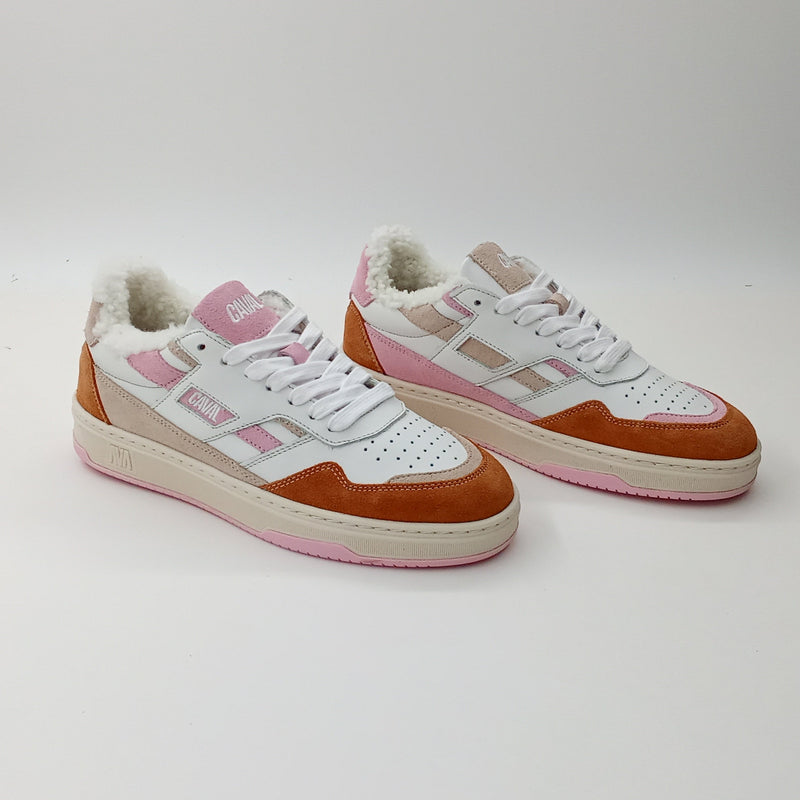 Proto - Rosy Winter - 38