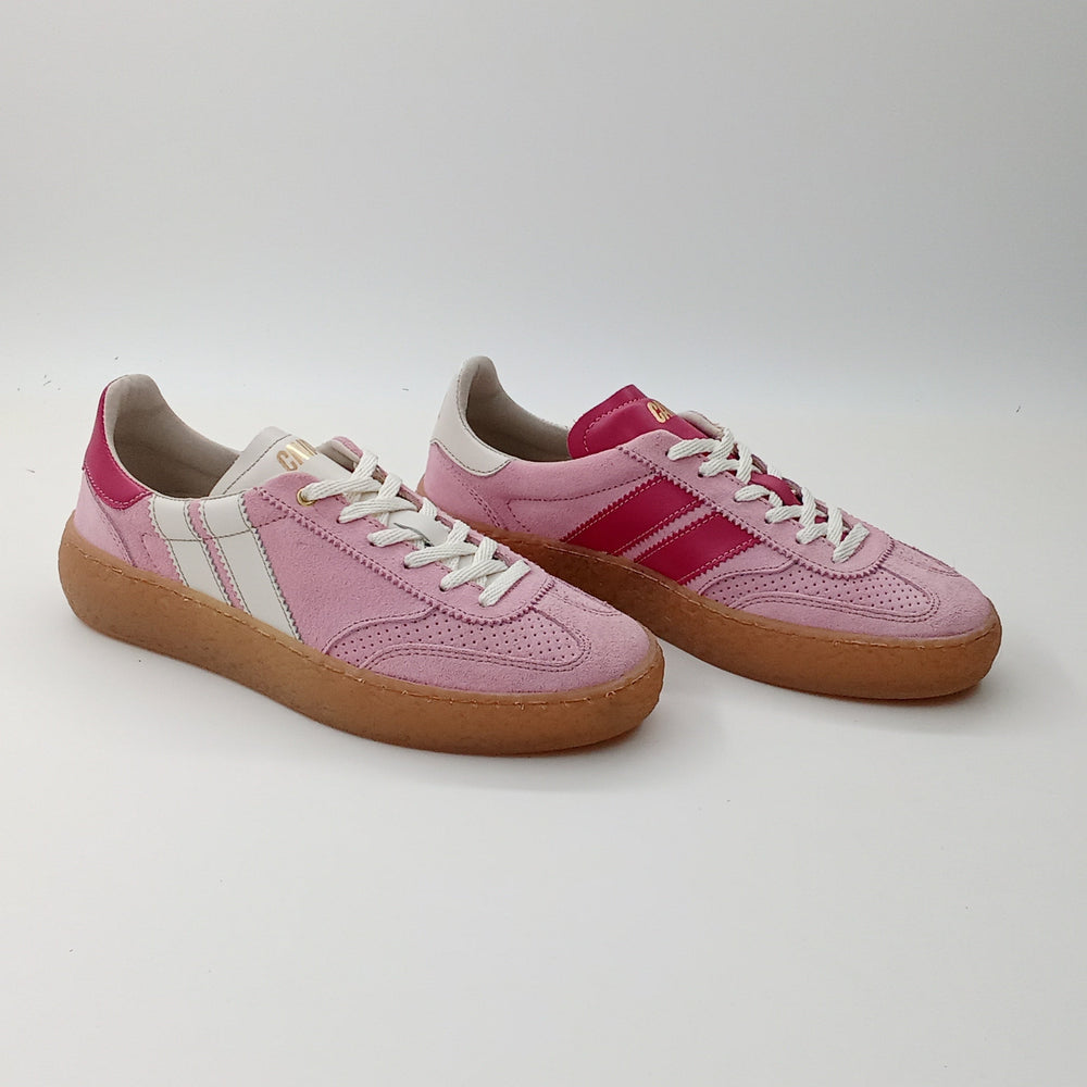 Proto - Rosy Vibes - 38