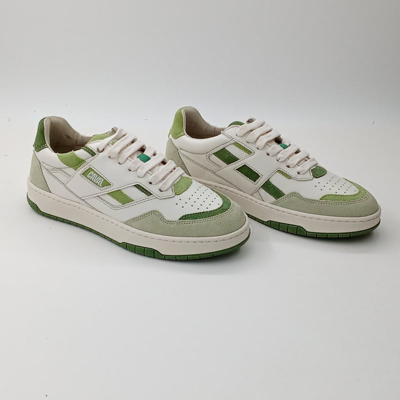 Proto - Matcha Shades - 38