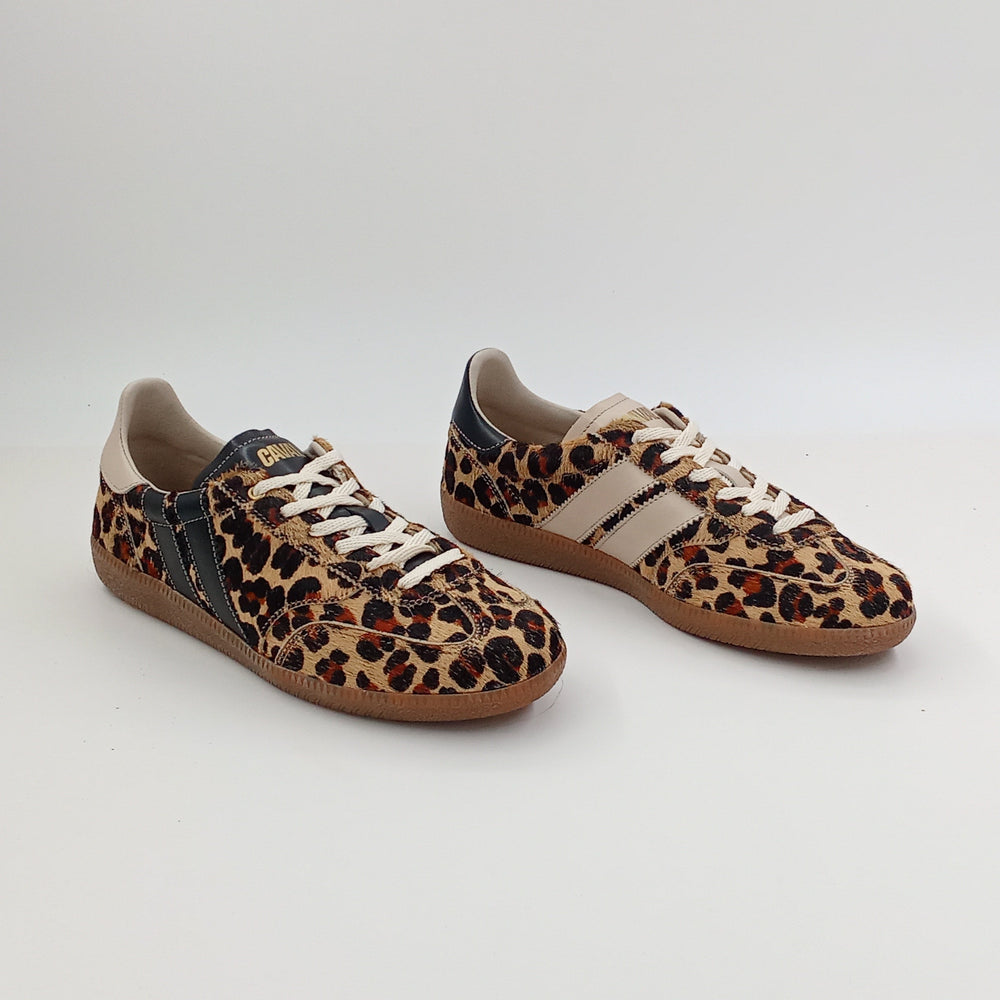 Proto - Leo Obsession - 38