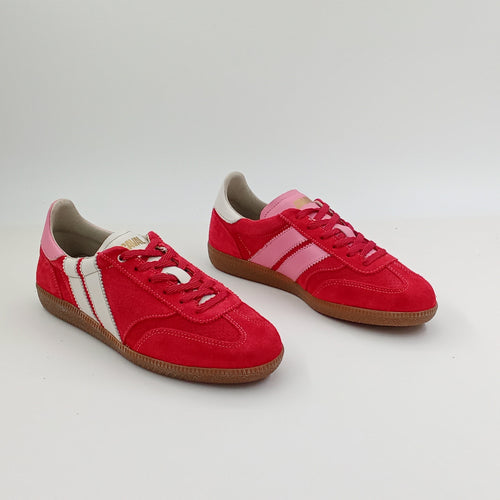 Proto - Cherry Berry - 38