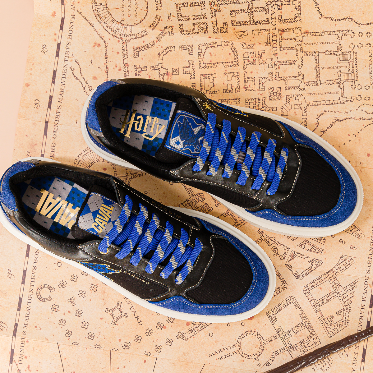CAVAL x Harry Potter - Ravenclaw - Secret