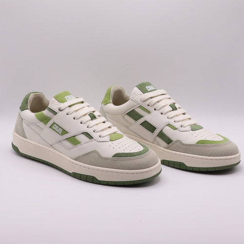 Proto - Playground - Matcha Dream - 40