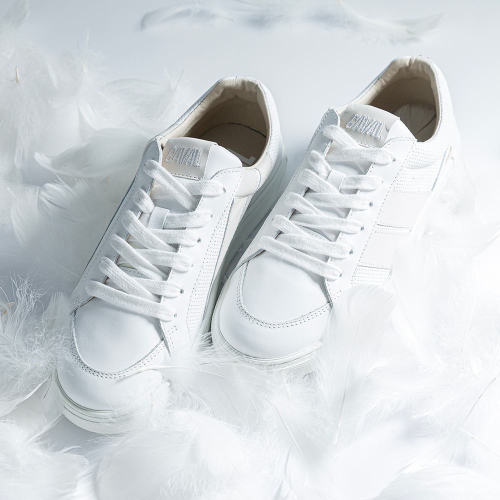 Light Glory - Archives