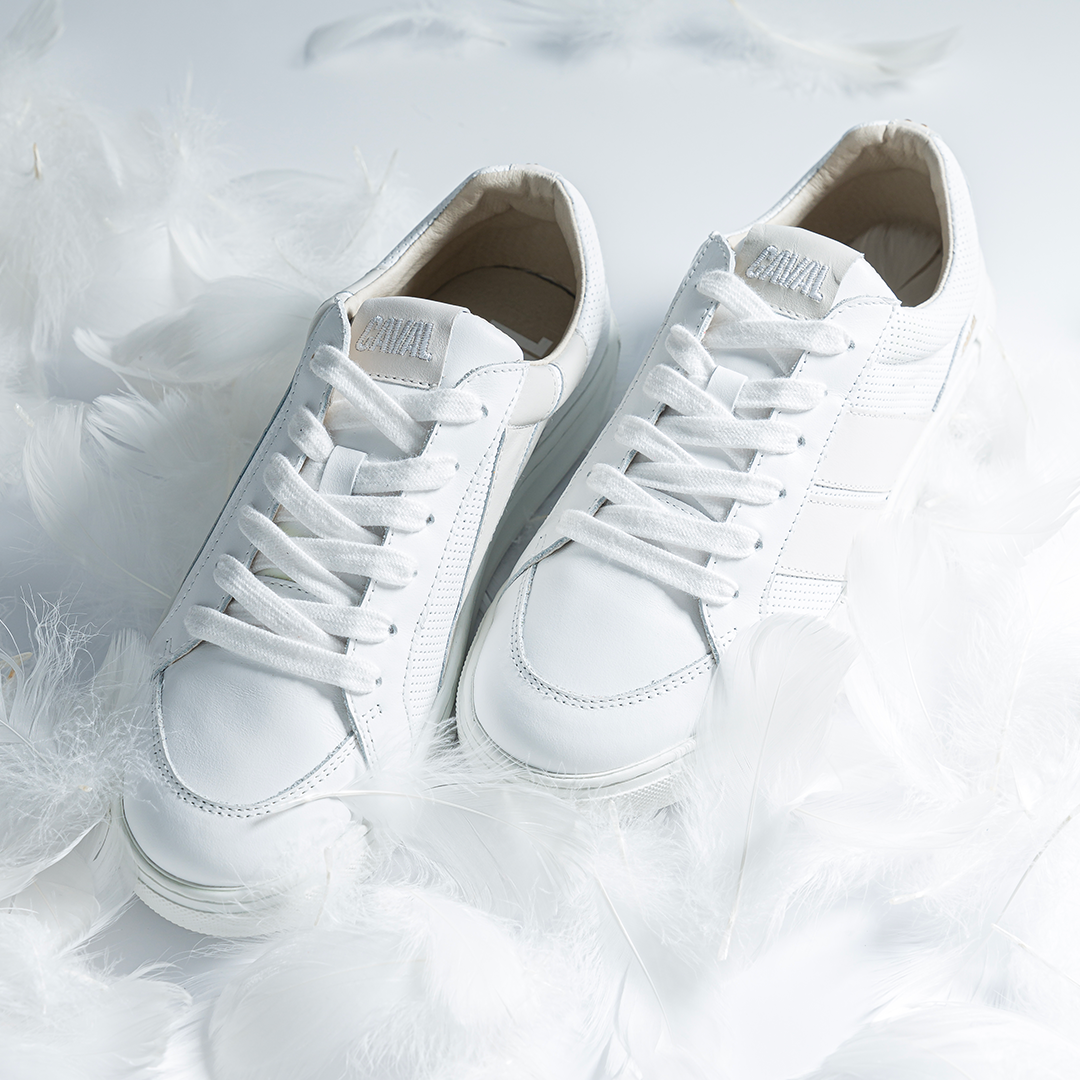 Light Glory - Archives