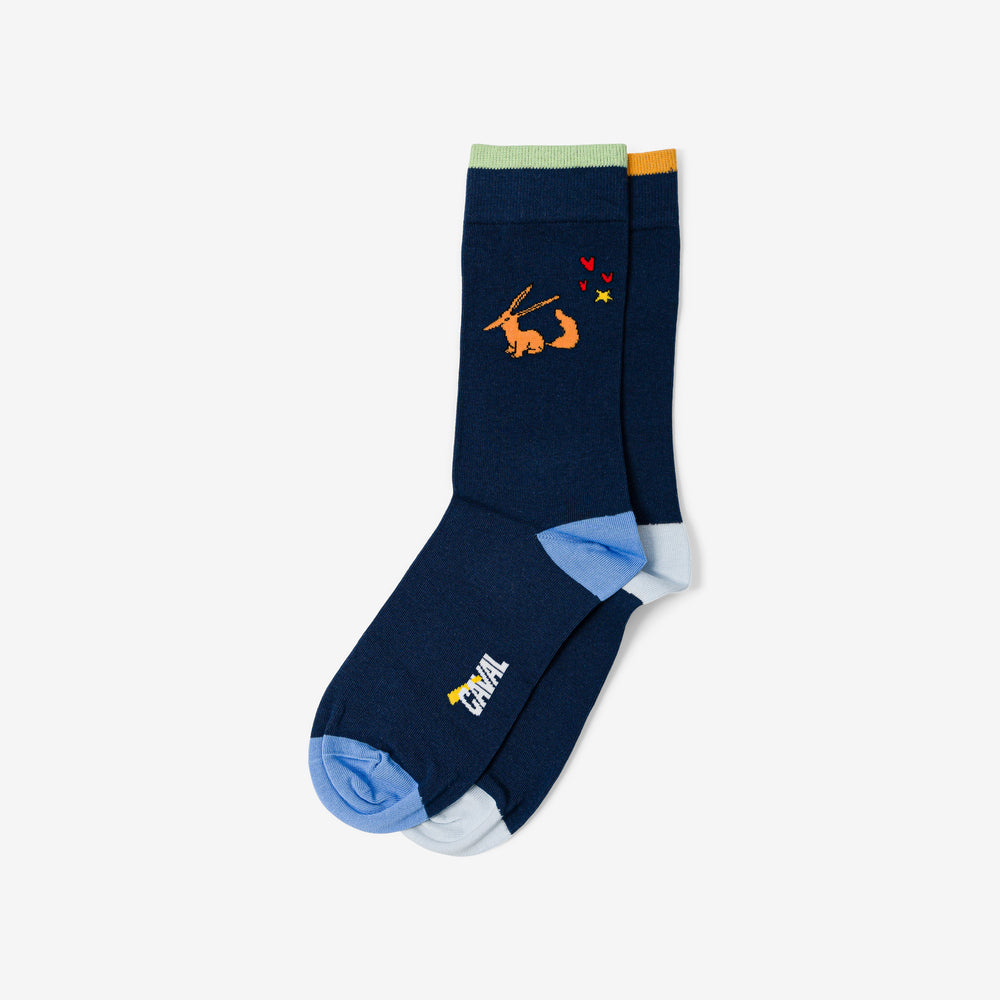 Chaussettes - CAVAL x Le Petit Prince - Light