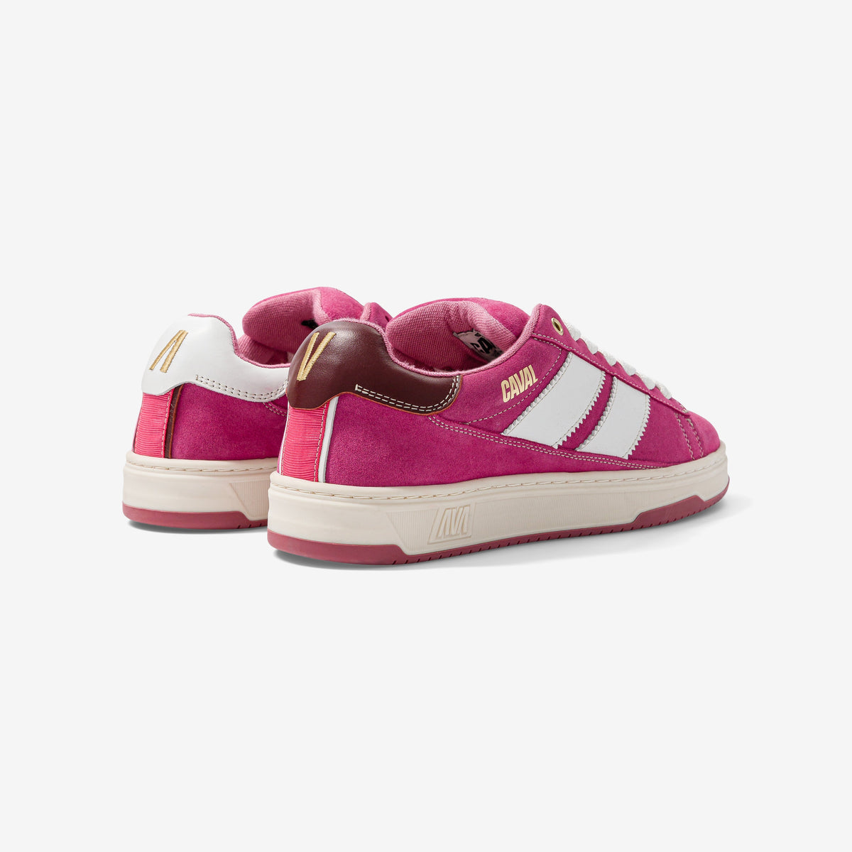 Pink Power - Archives