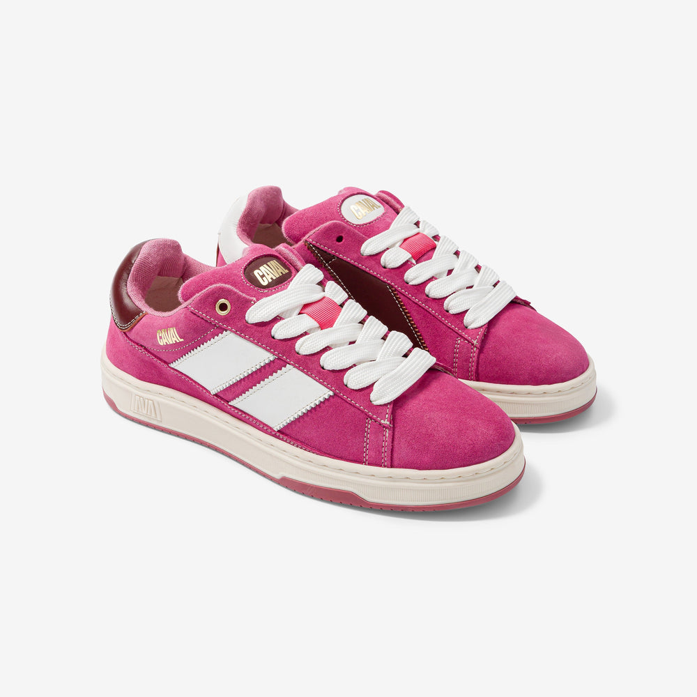 Pink Power - Archives