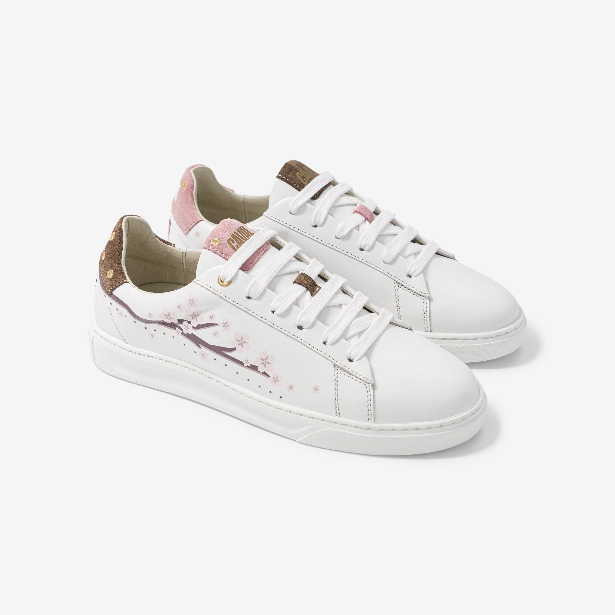 Pink Sakura - Archives