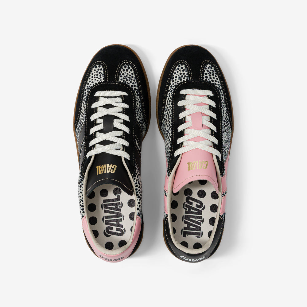 Polka Pop