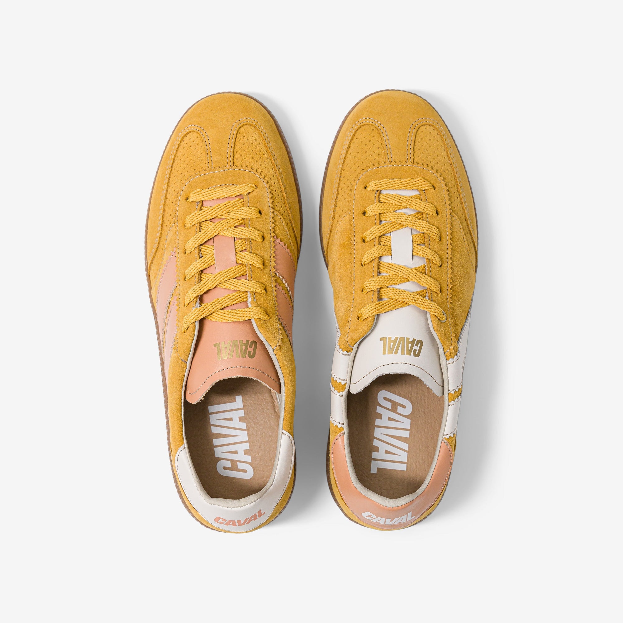 Spice Delight - Archives