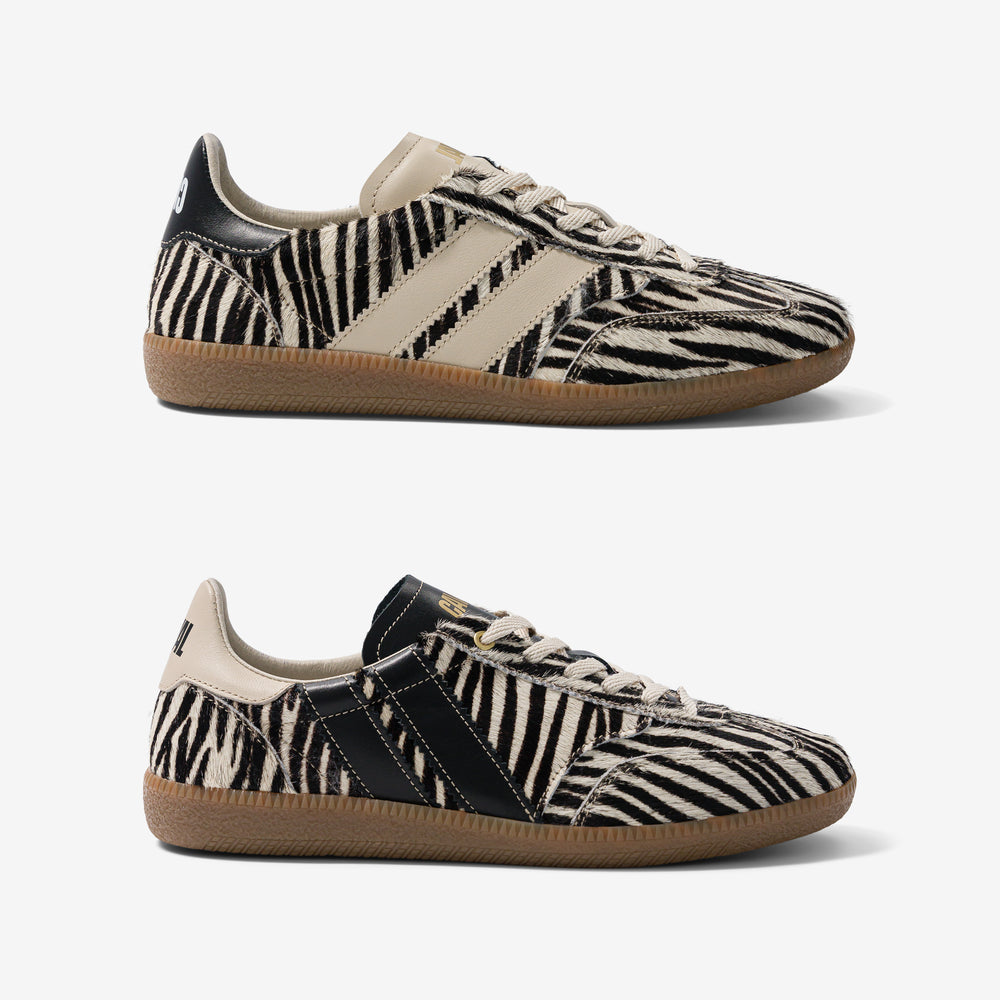 Zebra Obsession