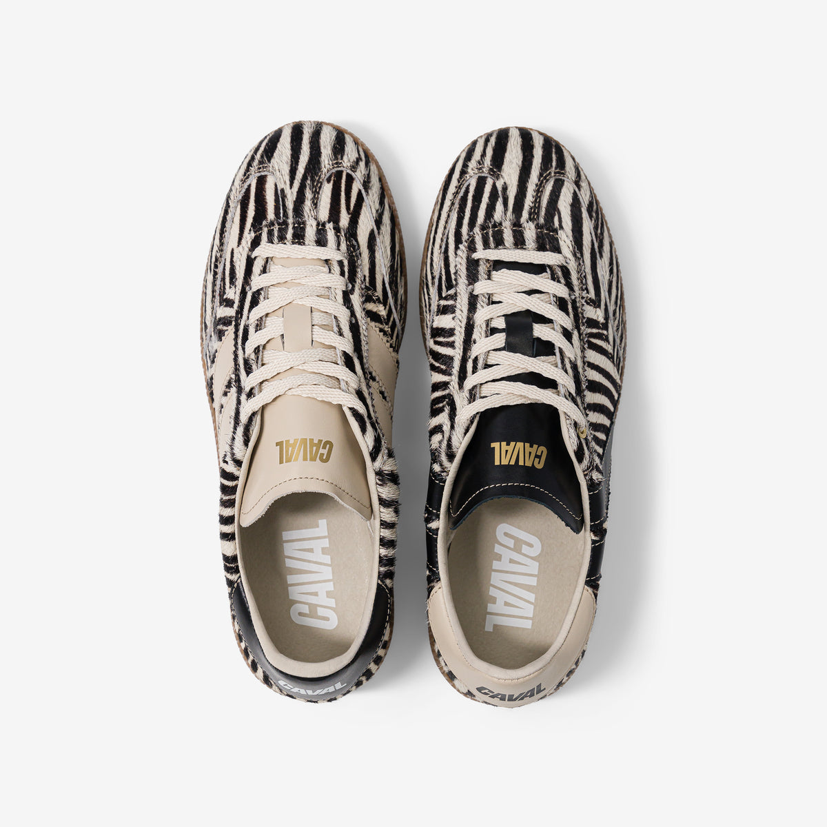 Zebra Obsession