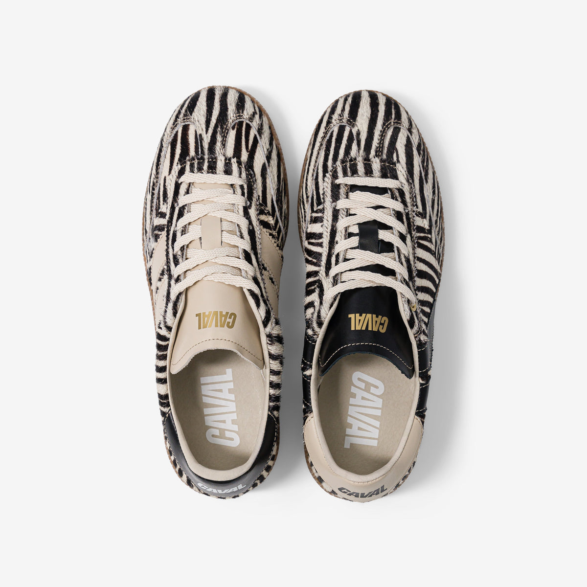 Zebra Obsession - Archives