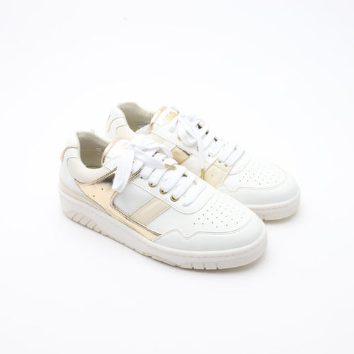 Proto - Sport Slash - Gold Star - 38