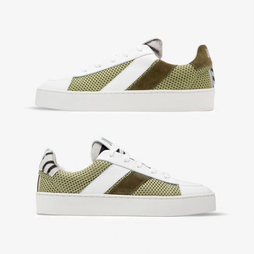 Green Zebra